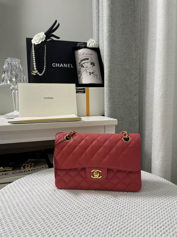 Chanel Handbags 187